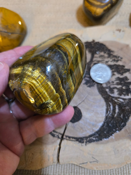 Tiger Eye Power Stone MP17