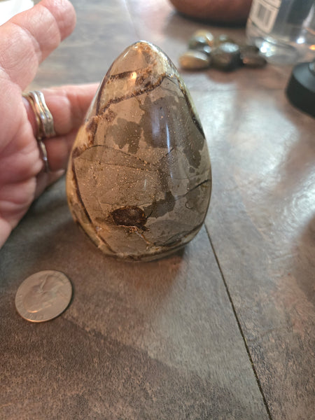 Septarian Agate Freeform SF1