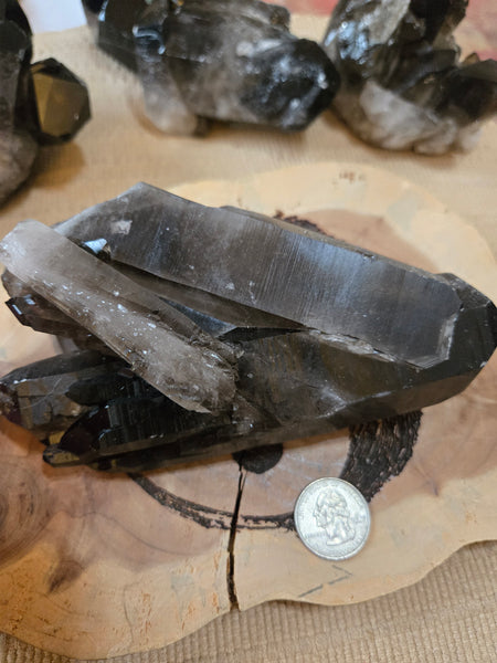 Smokey Quartz Cluster SM1