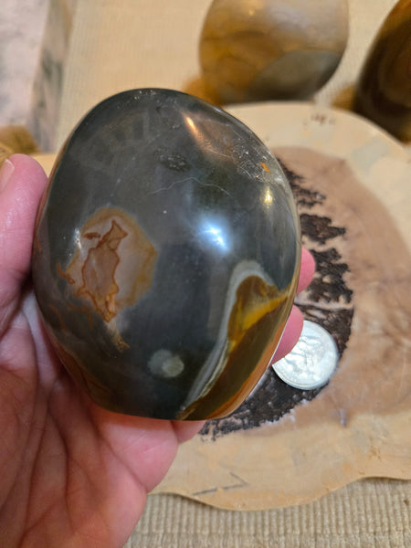 Polychrome Freeform PC3