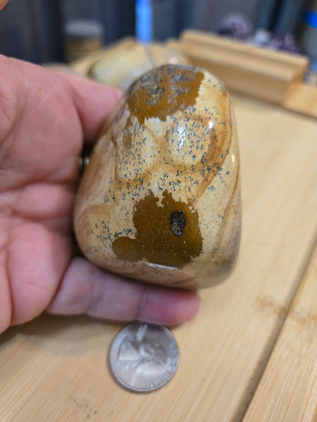 Power Stones - Picture Jasper Power Stone PJ4