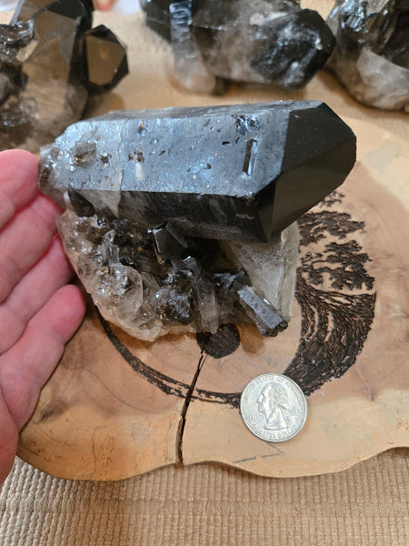 Smokey Quartz Cluster SM7