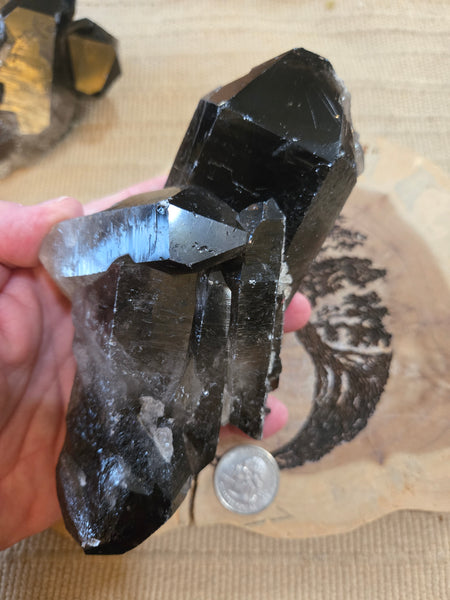 Smokey Quartz Cluster SM6