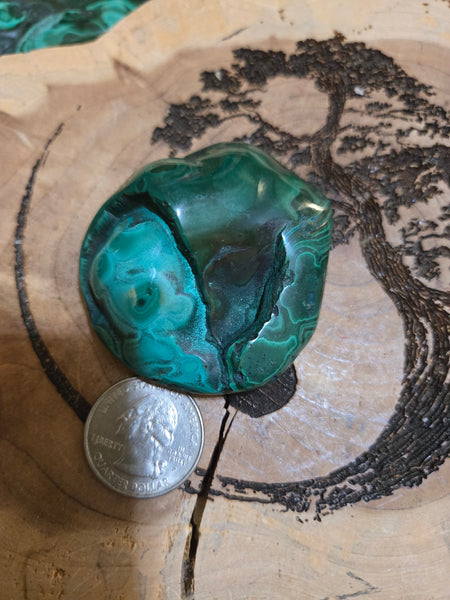 Malachite M1