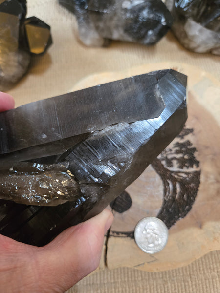 Smokey Quartz Cluster SM1