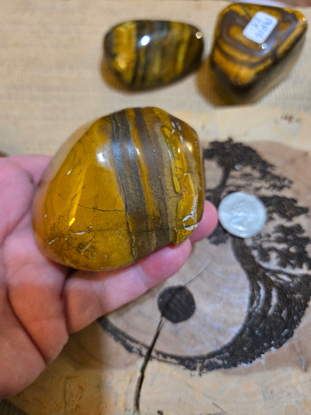 Tiger Eye Power Stone MP19