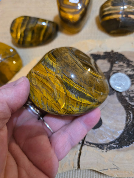 Tiger Eye Power Stone MP18