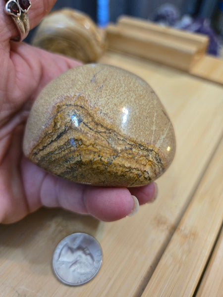 Power Stones - Picture Jasper Power Stone PJ5
