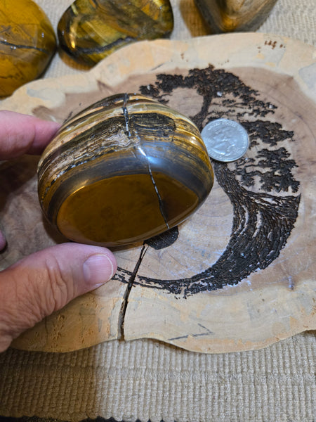 Tiger Eye Power Stone MP20