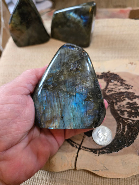 Labadorite Freeform L3