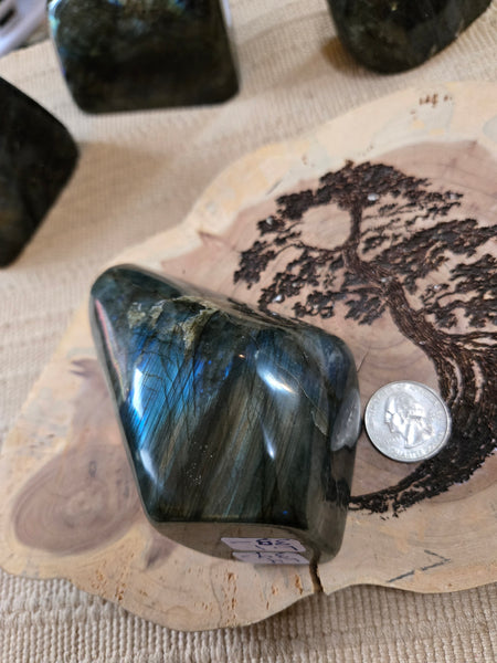 Labadorite Freeform L4