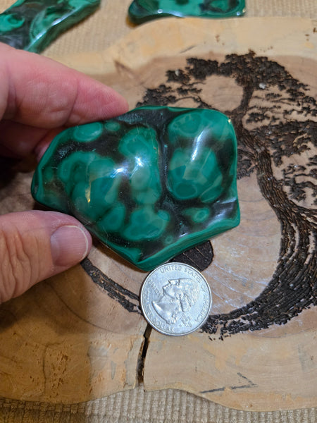 Malachite M5