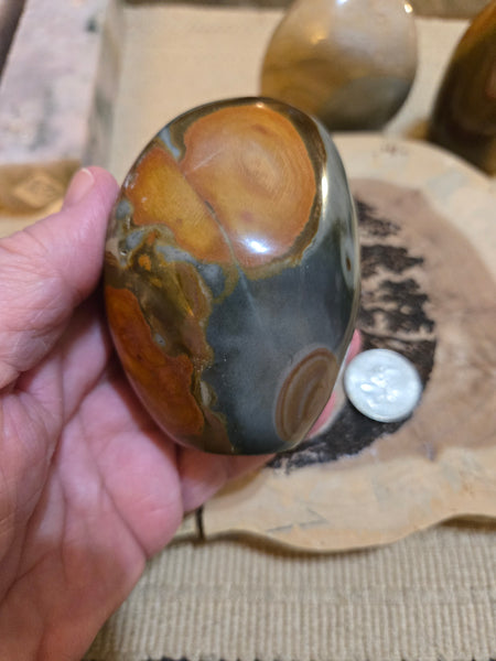 Polychrome Freeform PC3