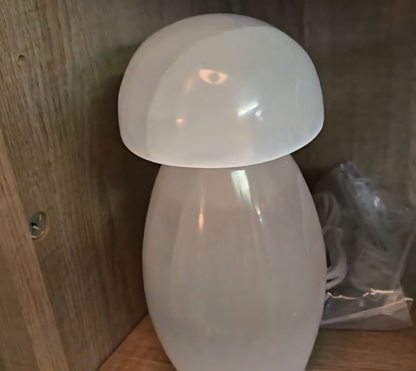 Selenite Mushroom Lamp with Cord & LED Light - Random Pull *Limited Quantities*