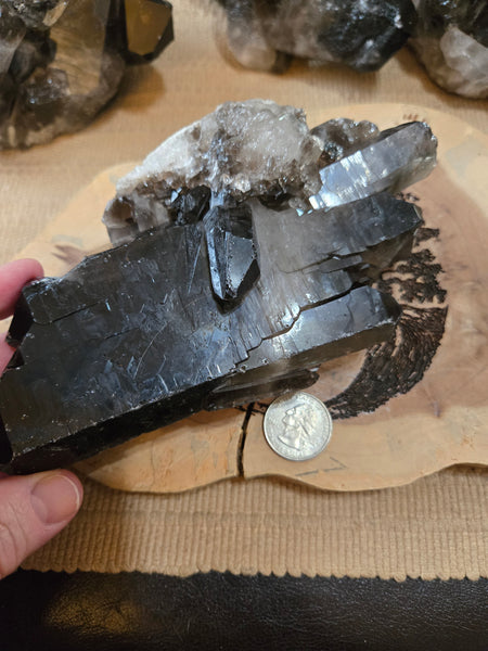 Smokey Quartz Cluster SM2
