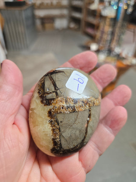 Septarian Palmstone