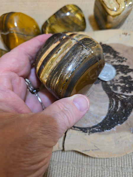 Tiger Eye Power Stone MP20