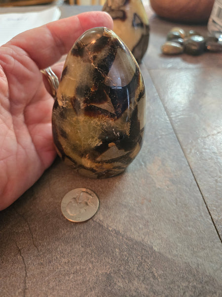 Septarian Agate Freeform SF2