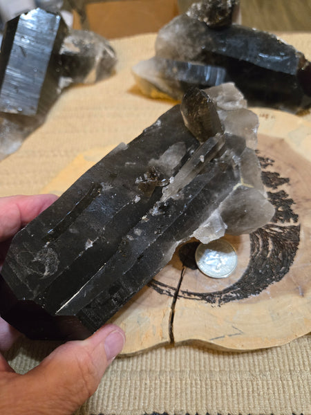 Smokey Quartz Cluster SM10