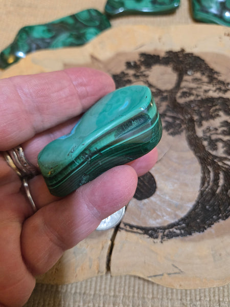 Malachite & Chrysocolla M2