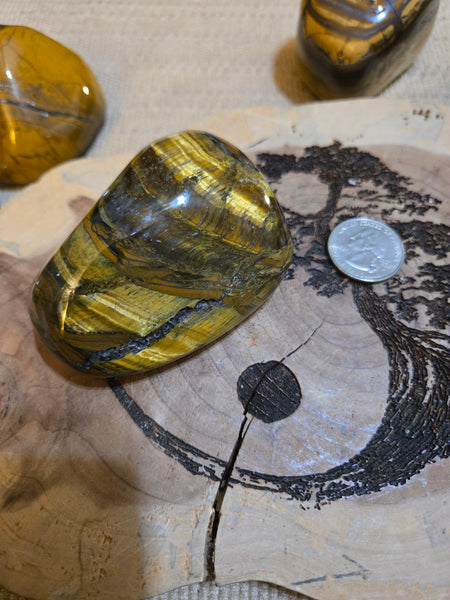 Tiger Eye Power Stone MP17