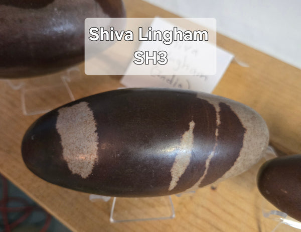 Shiva Lingham Medium SH3