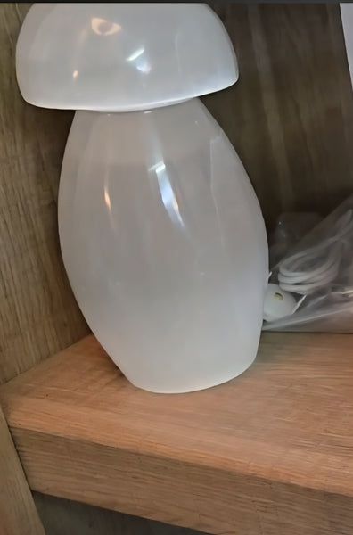 Selenite Mushroom Lamp with Cord & LED Light - Random Pull *Limited Quantities*