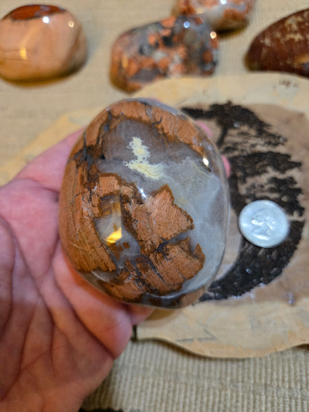 Brecciated Jasper Power Stone MP15