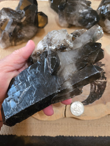 Smokey Quartz Cluster SM2