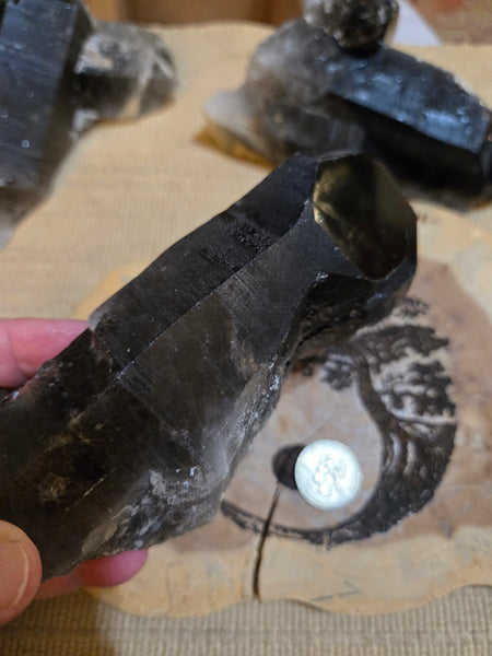 Smokey Quartz Cluster SM10