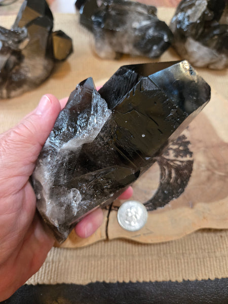 Smokey Quartz Cluster SM3