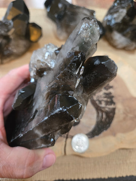 Smokey Quartz Cluster SM2