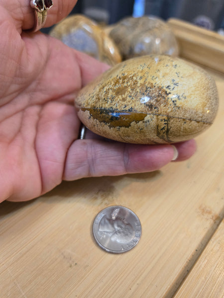 Power Stones - Picture Jasper Power Stone PJ3