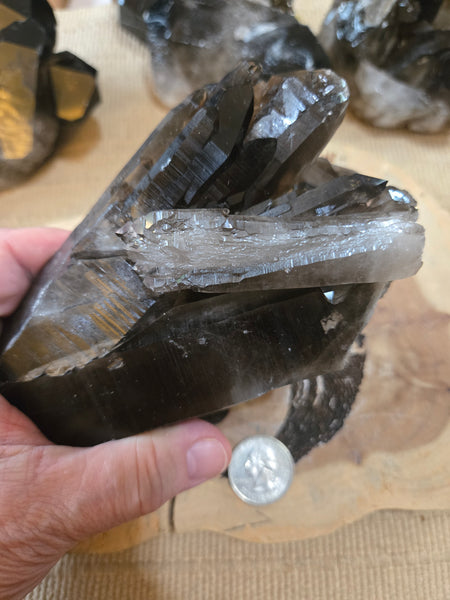 Smokey Quartz Cluster SM1