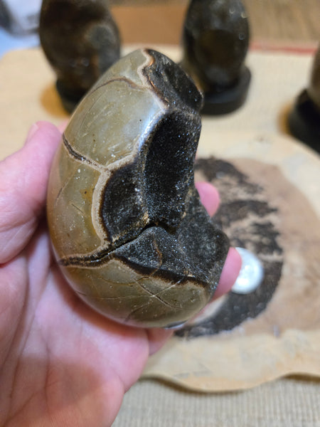 Septarian Agate Egg SA3 aka Dragon Egg