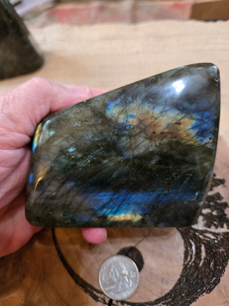 Labadorite Freeform L1