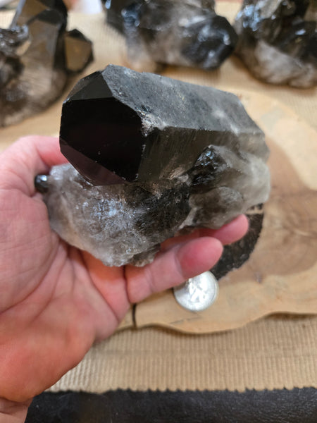 Smokey Quartz Cluster SM7