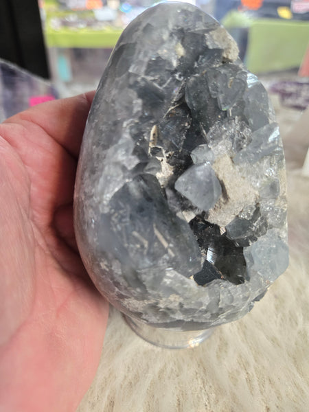 Celestite Cluster Geode C6