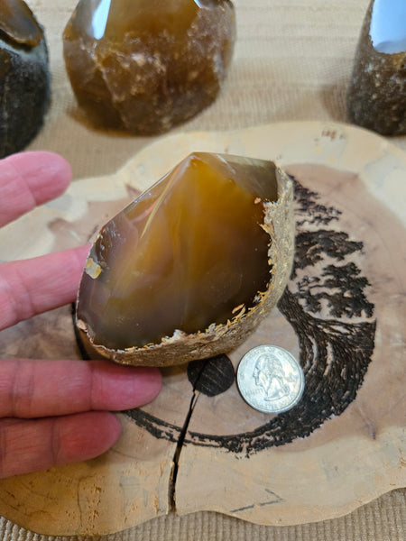 Natural Agate Polished Point AP1