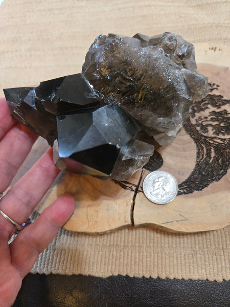 Smokey Quartz Cluster SM5