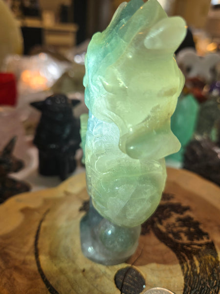 Carvings - Rainbow Flourite SeaHorse FS1