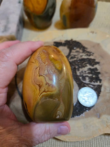 Polychrome Freeform PC1
