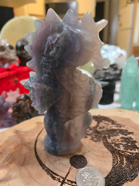 Carvings - Rainbow Flourite SeaHorse FS1