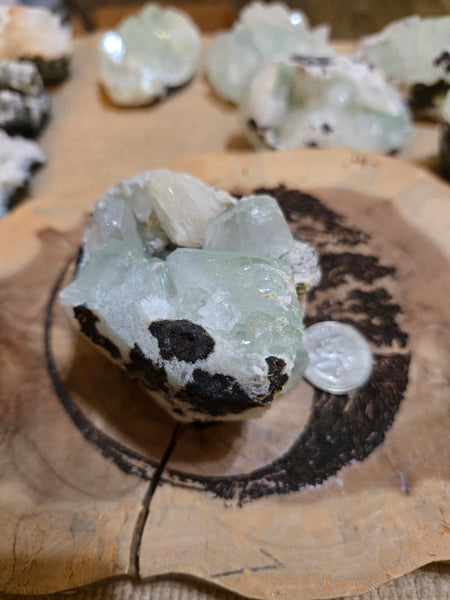 Green Apophyllite with Stilbite Crystal AC2 Rare