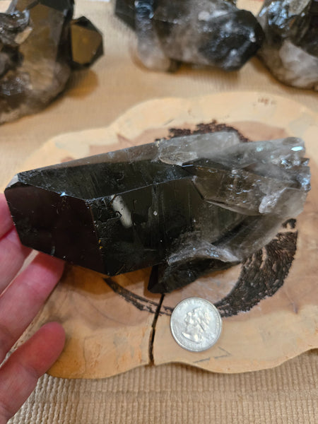 Smokey Quartz Cluster SM3
