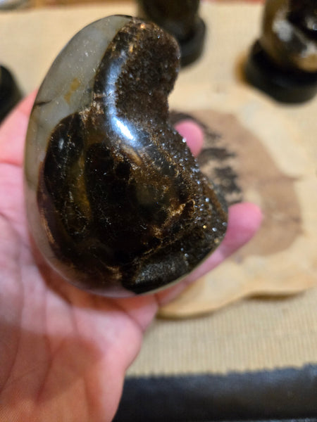 Septarian Agate Egg SA4 aka Dragon Egg