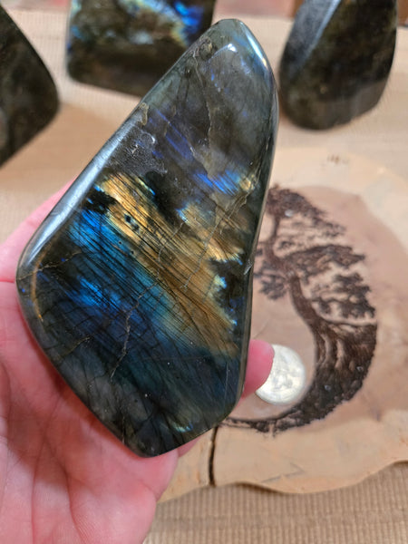 Labadorite Freeform L4