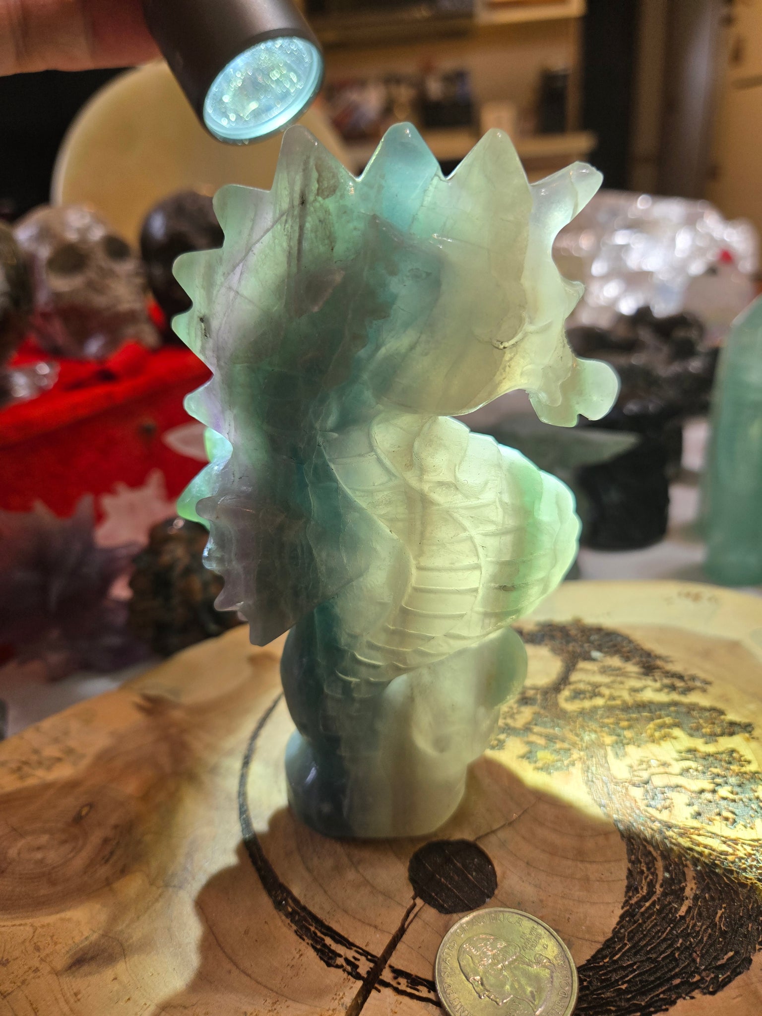 Carvings - Rainbow Flourite SeaHorse FS1