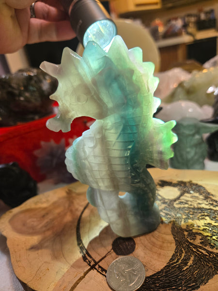 Carvings - Rainbow Flourite SeaHorse FS1