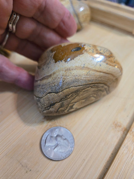 Power Stones - Picture Jasper Power Stone PJ4